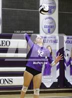 Photo from the gallery "Carroll @ Leo"