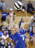 Photo from the gallery "Carroll @ Leo"