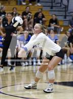 Photo from the gallery "Carroll @ Leo"