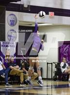 Photo from the gallery "Carroll @ Leo"