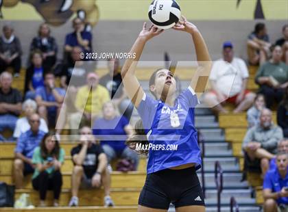 Thumbnail 2 in Carroll @ Leo photogallery.
