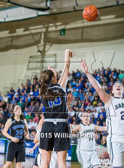 Thumbnail 2 in Susquehanna Valley vs. Hoosick Falls (NYSPHSAA Class B Final) photogallery.