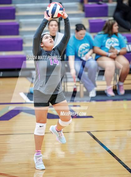 Thumbnail 3 in Tompkins @ Morton Ranch photogallery.
