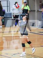 Photo from the gallery "Tompkins @ Morton Ranch"