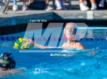 Thumbnail 1 in Fullerton @ Brea Olinda photogallery.