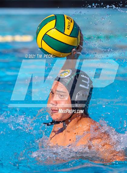 Thumbnail 1 in Fullerton @ Brea Olinda photogallery.