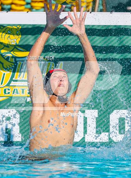 Thumbnail 3 in Fullerton @ Brea Olinda photogallery.