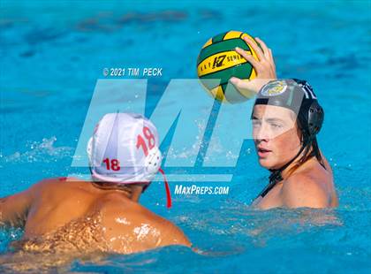 Thumbnail 3 in Fullerton @ Brea Olinda photogallery.