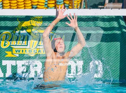 Thumbnail 3 in Fullerton @ Brea Olinda photogallery.