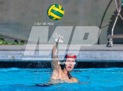 Thumbnail 1 in Fullerton @ Brea Olinda photogallery.