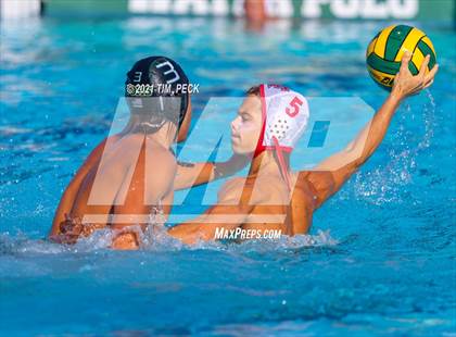 Thumbnail 1 in Fullerton @ Brea Olinda photogallery.