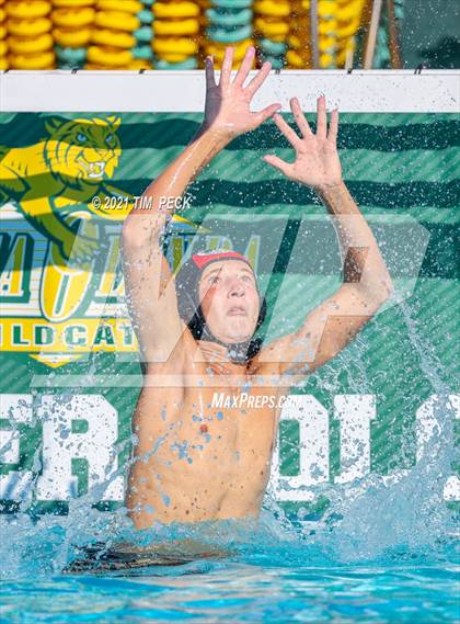 Thumbnail 1 in Fullerton @ Brea Olinda photogallery.