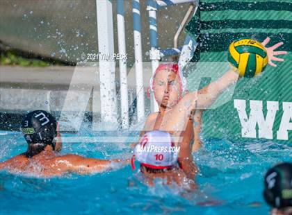 Thumbnail 3 in Fullerton @ Brea Olinda photogallery.