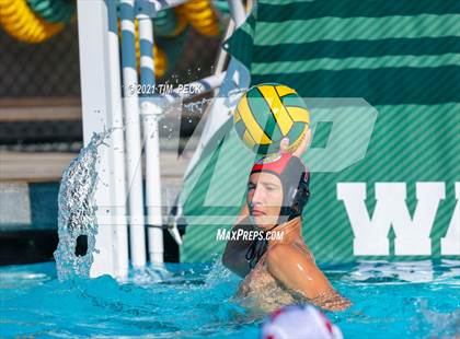 Thumbnail 3 in Fullerton @ Brea Olinda photogallery.