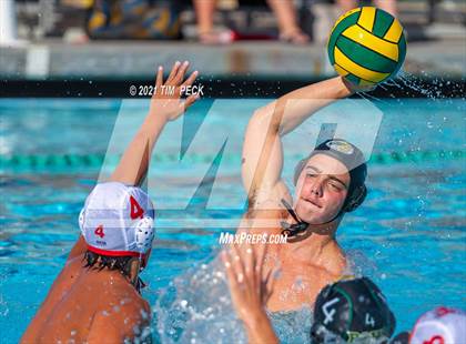 Thumbnail 1 in Fullerton @ Brea Olinda photogallery.