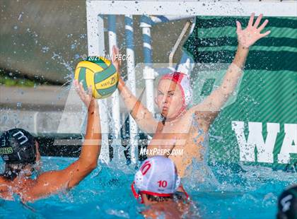 Thumbnail 1 in Fullerton @ Brea Olinda photogallery.