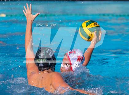 Thumbnail 1 in Fullerton @ Brea Olinda photogallery.