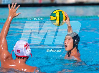 Thumbnail 2 in Fullerton @ Brea Olinda photogallery.