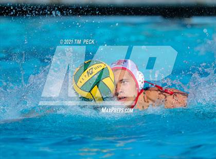 Thumbnail 3 in Fullerton @ Brea Olinda photogallery.