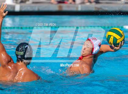 Thumbnail 3 in Fullerton @ Brea Olinda photogallery.