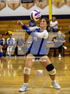 Photo from the gallery "Orland @ Lassen"