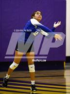 Photo from the gallery "Orland @ Lassen"