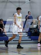 Photo from the gallery "Murrieta Mesa vs. Temecula Valley (Linfield Christian Caged Classic)"