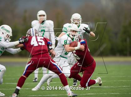 Thumbnail 1 in Dunmore vs. South Fayette (PIAA Class AA Final) photogallery.