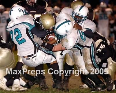 Thumbnail 2 in Hesperia @ Sultana photogallery.