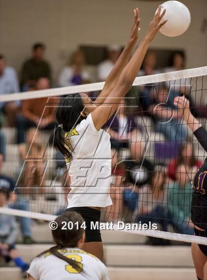 Thumbnail 1 in Littleton vs. Falcon (CHSAA 4A Region 2 Playoff) photogallery.