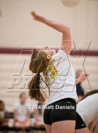 Thumbnail 2 in Littleton vs. Falcon (CHSAA 4A Region 2 Playoff) photogallery.