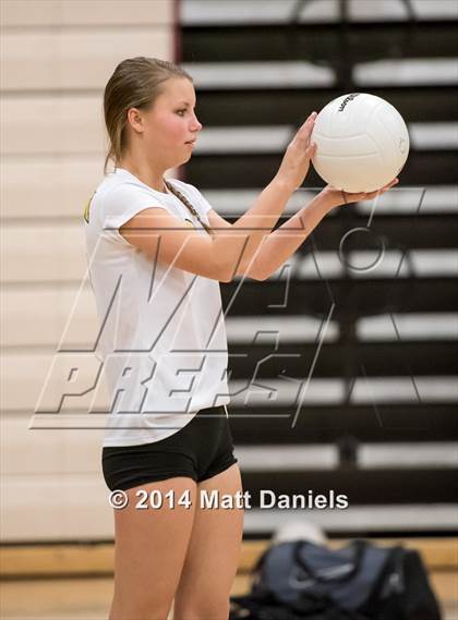 Thumbnail 1 in Littleton vs. Falcon (CHSAA 4A Region 2 Playoff) photogallery.