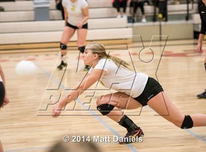 Thumbnail 1 in Littleton vs. Falcon (CHSAA 4A Region 2 Playoff) photogallery.