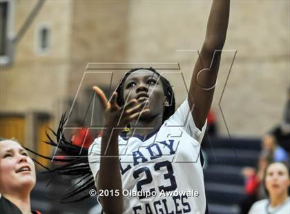Thumbnail 3 in Allen vs. Marcus photogallery.