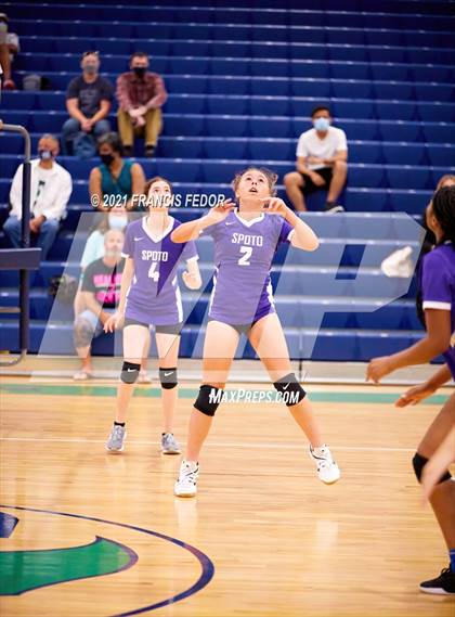 Thumbnail 3 in Spoto @ Sumner photogallery.