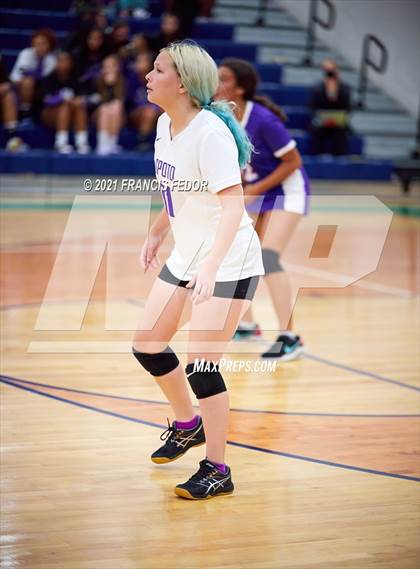 Thumbnail 3 in Spoto @ Sumner photogallery.