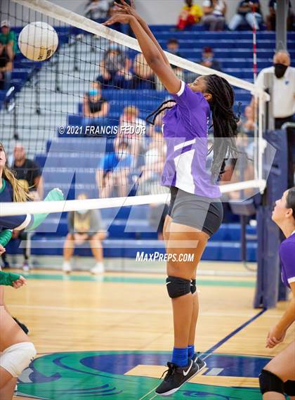 Thumbnail 3 in Spoto @ Sumner photogallery.