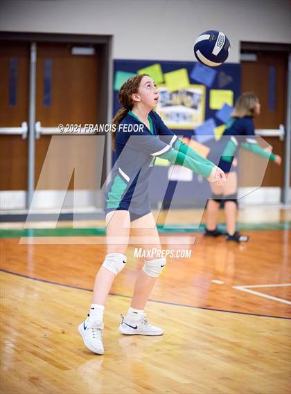 Thumbnail 3 in Spoto @ Sumner photogallery.