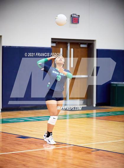 Thumbnail 1 in Spoto @ Sumner photogallery.