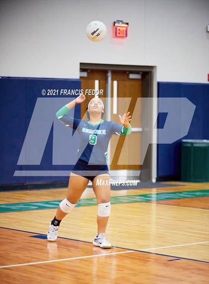 Thumbnail 1 in Spoto @ Sumner photogallery.