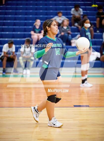 Thumbnail 2 in Spoto @ Sumner photogallery.