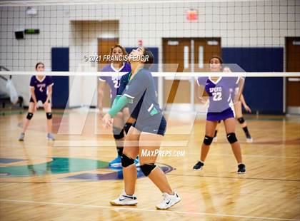 Thumbnail 2 in Spoto @ Sumner photogallery.