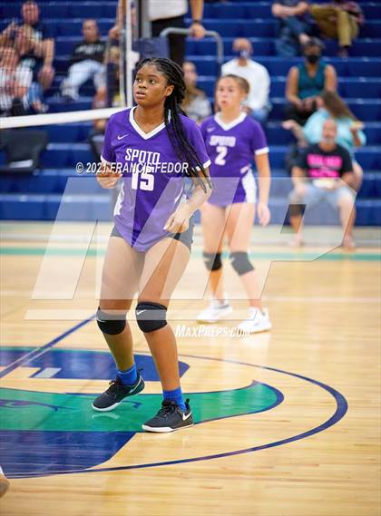 Thumbnail 1 in Spoto @ Sumner photogallery.