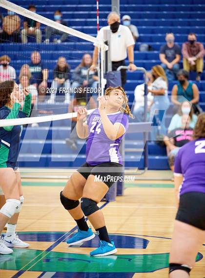 Thumbnail 1 in Spoto @ Sumner photogallery.