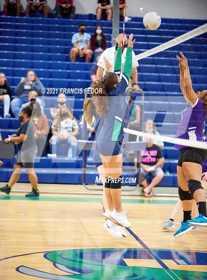 Thumbnail 2 in Spoto @ Sumner photogallery.