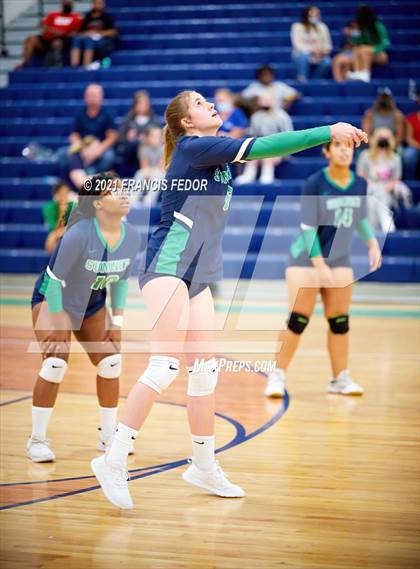 Thumbnail 1 in Spoto @ Sumner photogallery.
