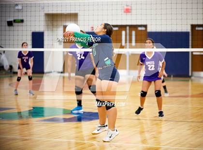 Thumbnail 3 in Spoto @ Sumner photogallery.