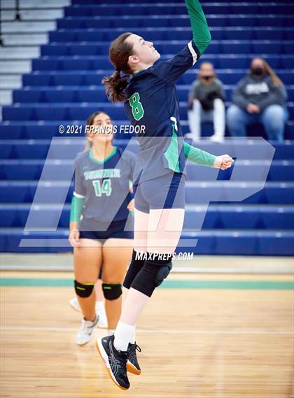 Thumbnail 3 in Spoto @ Sumner photogallery.