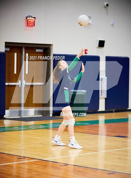 Thumbnail 2 in Spoto @ Sumner photogallery.
