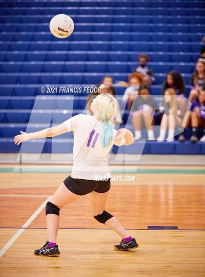 Thumbnail 3 in Spoto @ Sumner photogallery.